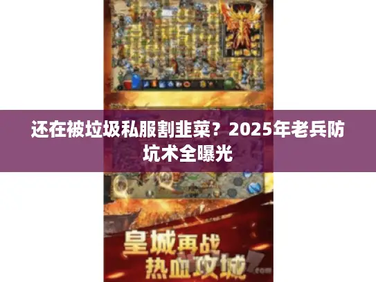 还在被垃圾私服割韭菜？2025年老兵防坑术全曝光