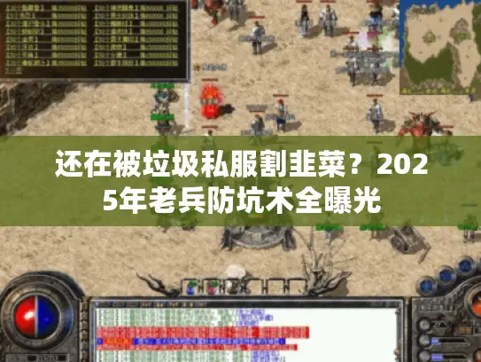 还在被垃圾私服割韭菜？2025年老兵防坑术全曝光