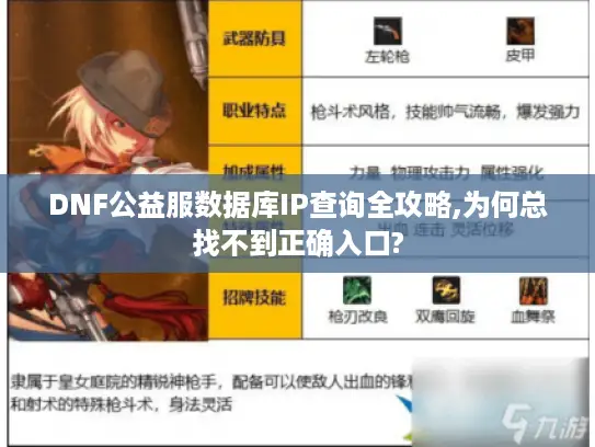 DNF公益服数据库IP查询全攻略,为何总找不到正确入口?