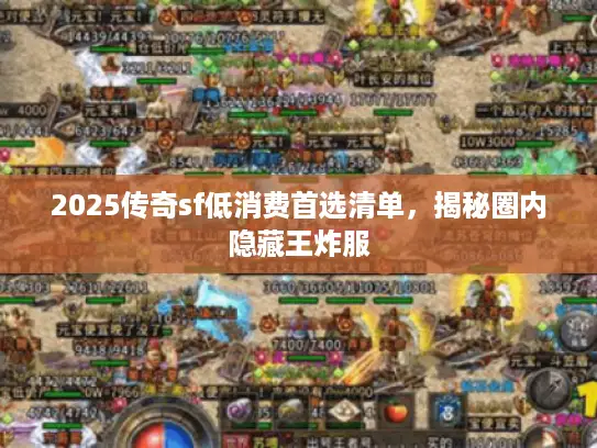 2025传奇sf低消费首选清单，揭秘圈内隐藏王炸服
