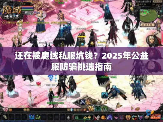 还在被魔域私服坑钱？2025年公益服防骗挑选指南