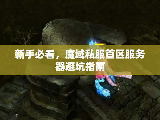 新手必看，魔域私服首区服务器避坑指南