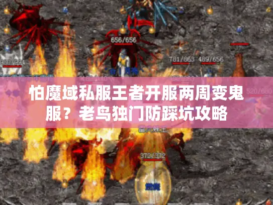 怕魔域私服王者开服两周变鬼服？老鸟独门防踩坑攻略