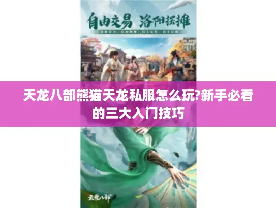天龙八部熊猫天龙私服怎么玩?新手必看的三大入门技巧