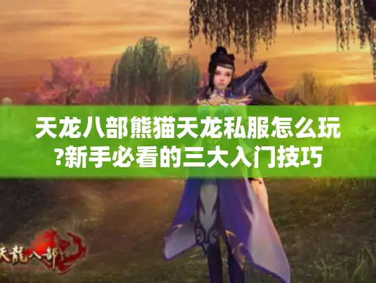 天龙八部熊猫天龙私服怎么玩?新手必看的三大入门技巧