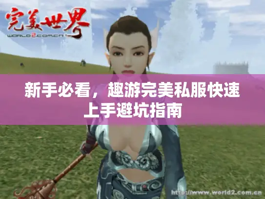 新手必看，趣游完美私服快速上手避坑指南
