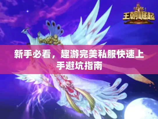 新手必看，趣游完美私服快速上手避坑指南