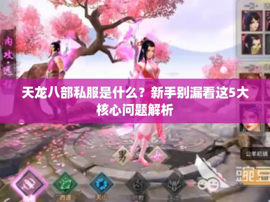 天龙八部私服是什么？新手别漏看这5大核心问题解析