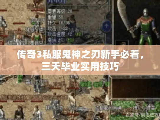 传奇3私服鬼神之刃新手必看，三天毕业实用技巧