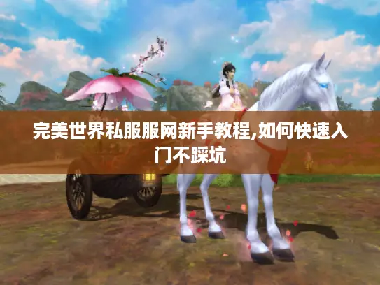 完美世界私服服网新手教程,如何快速入门不踩坑