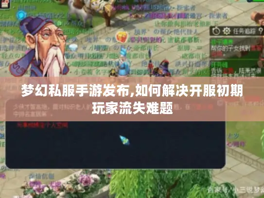 梦幻私服手游发布,如何解决开服初期玩家流失难题 梦幻私服手游发布,如何解决开服初期玩家流失难题
