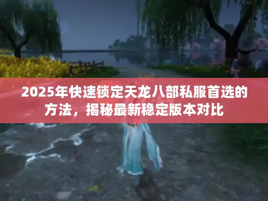 2025年快速锁定天龙八部私服首选的方法，揭秘最新稳定版本对比