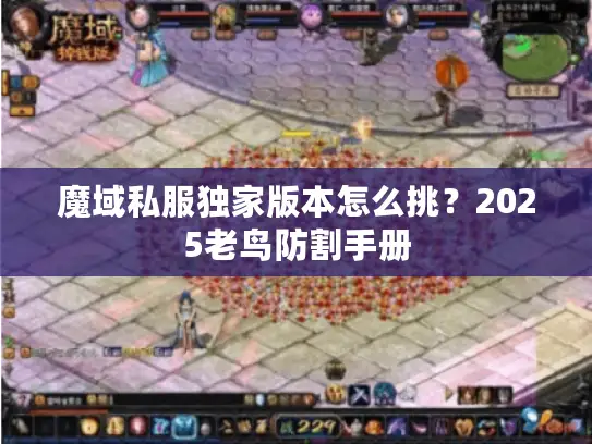 魔域私服独家版本怎么挑?2025老鸟防割手册 魔域私服独家版本怎么挑?2025老鸟防割手册