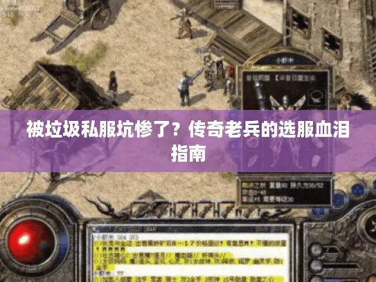 被垃圾私服坑惨了？传奇老兵的选服血泪指南