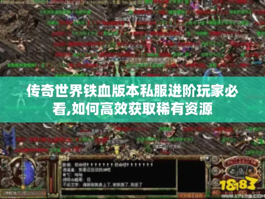 传奇世界铁血版本私服进阶玩家必看,如何高效获取稀有资源