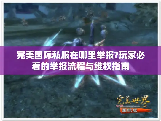 完美国际私服在哪里举报?玩家必看的举报流程与维权指南