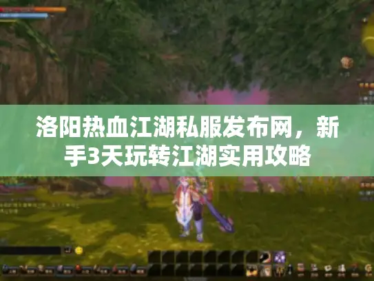 洛阳热血江湖私服发布网，新手3天玩转江湖实用攻略