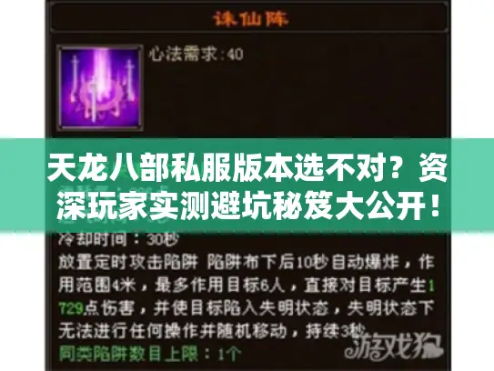 天龙八部私服版本选不对?资深玩家实测避坑秘笈大公开! 天龙八部私服版本选不对?资深玩家实测避坑秘笈大公开!