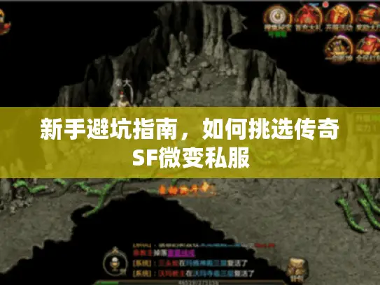 新手避坑指南，如何挑选传奇SF微变私服