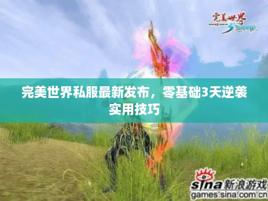 完美世界私服最新发布,零基础3天逆袭实用技巧 完美世界私服最新发布,零基础3天逆袭实用技巧
