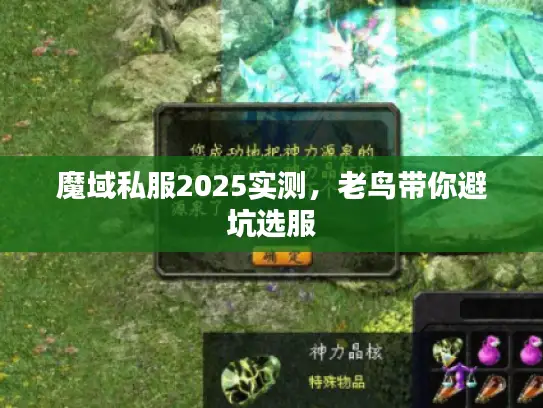 魔域私服2025实测，老鸟带你避坑选服