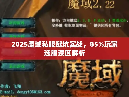 2025魔域私服避坑实战，85%玩家选服误区解析