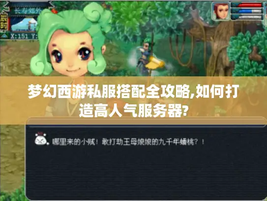 梦幻西游私服搭配全攻略,如何打造高人气服务器?