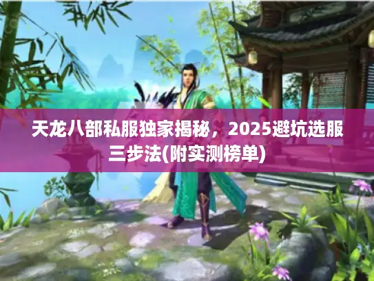 天龙八部私服独家揭秘，2025避坑选服三步法(附实测榜单)