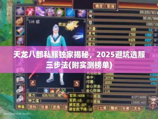 天龙八部私服独家揭秘,2025避坑选服三步法(附实测榜单) 天龙八部私服独家揭秘,2025避坑选服三步法(附实测榜单)