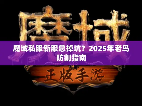 魔域私服新服总掉坑?2025年老鸟防割指南 魔域私服新服总掉坑?2025年老鸟防割指南
