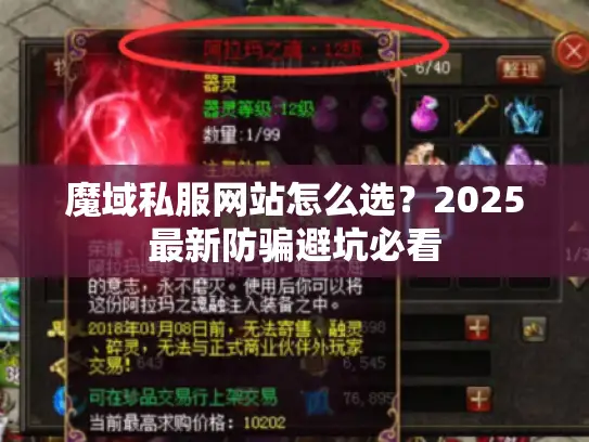 魔域私服网站怎么选？2025最新防骗避坑必看