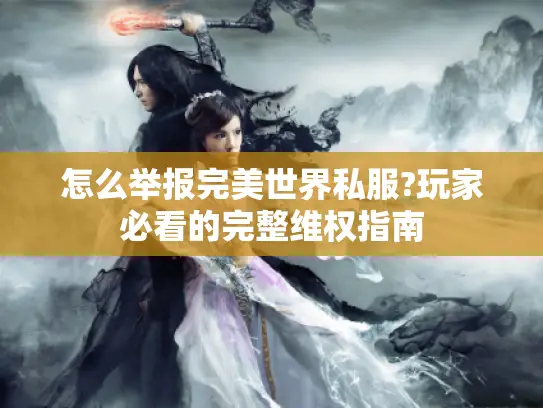 怎么举报完美世界私服?玩家必看的完整维权指南