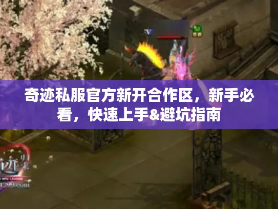 奇迹私服官方新开合作区，新手必看，快速上手&避坑指南