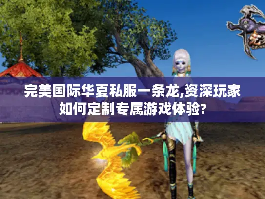 完美国际华夏私服一条龙,资深玩家如何定制专属游戏体验?