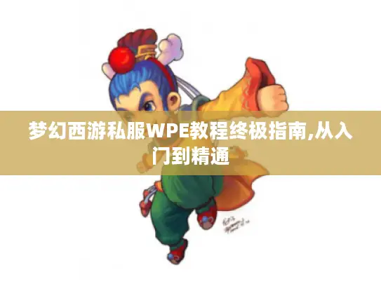 梦幻西游私服WPE教程终极指南,从入门到精通