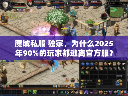 魔域私服 独家，为什么2025年90%的玩家都逃离官方服？