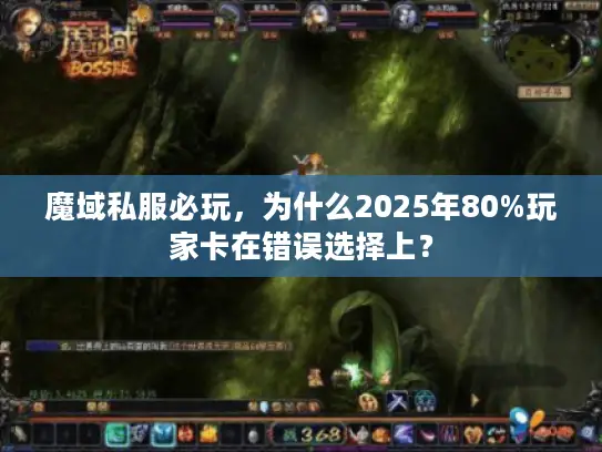 魔域私服必玩，为什么2025年80%玩家卡在错误选择上？