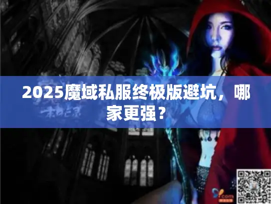 2025魔域私服终极版避坑，哪家更强？