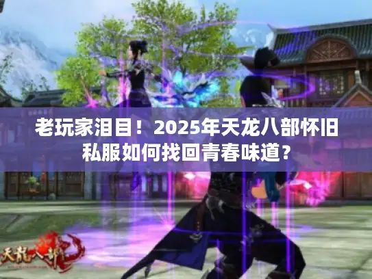 老玩家泪目！2025年天龙八部怀旧私服如何找回青春味道？