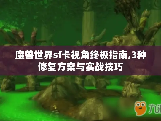 魔兽世界sf卡视角终极指南,3种修复方案与实战技巧