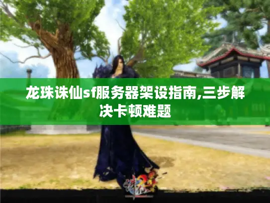 龙珠诛仙sf服务器架设指南,三步解决卡顿难题 龙珠诛仙sf服务器架设指南,三步解决卡顿难题