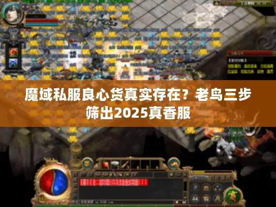 魔域私服良心货真实存在？老鸟三步筛出2025真香服