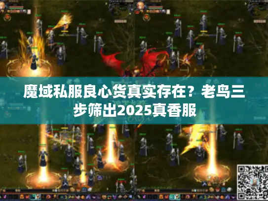 魔域私服良心货真实存在？老鸟三步筛出2025真香服