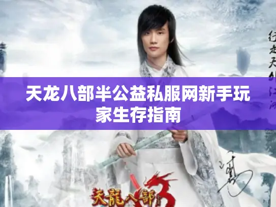 天龙八部半公益私服网新手玩家生存指南 天龙八部半公益私服网新手玩家生存指南