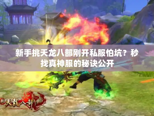 新手挑天龙八部刚开私服怕坑？秒找真神服的秘诀公开