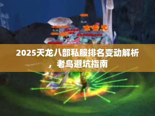 2025天龙八部私服排名变动解析，老鸟避坑指南