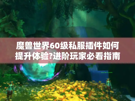 魔兽世界60级私服插件如何提升体验?进阶玩家必看指南