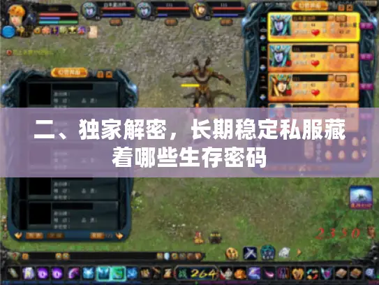 二、独家解密，长期稳定私服藏着哪些生存密码