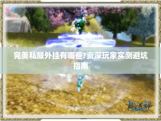 完美私服外挂有哪些?资深玩家实测避坑指南