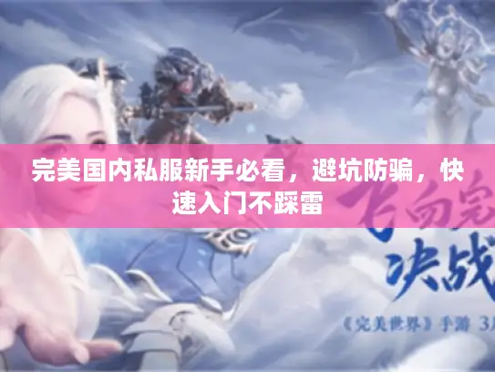 完美国内私服新手必看，避坑防骗，快速入门不踩雷
